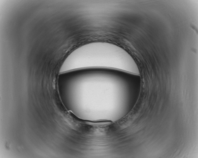 X0000095910368200801110833