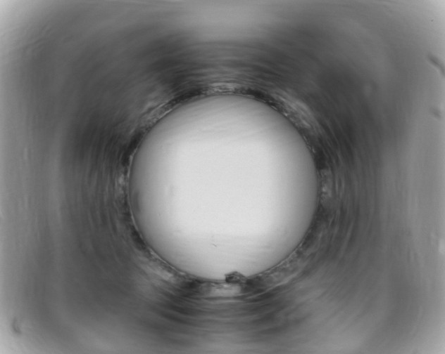 X0000095910369200801110833