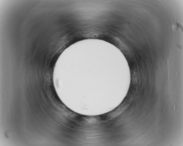 X0000095910370200801110833
