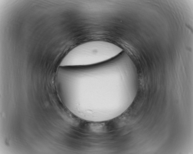 X0000095910373200801110833