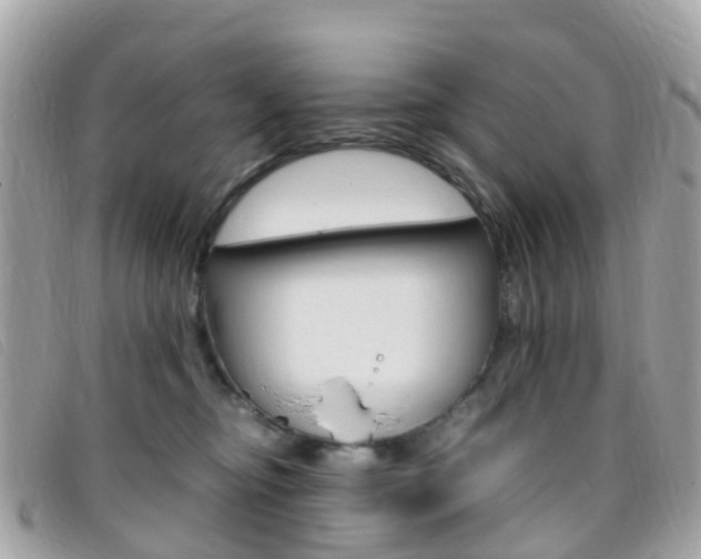 X0000095910374200801110833