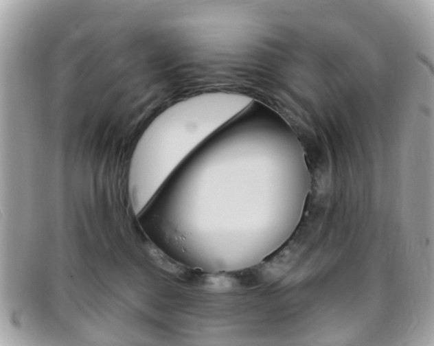 X0000095910376200801110833