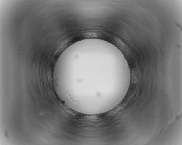 X0000095910377200801110833
