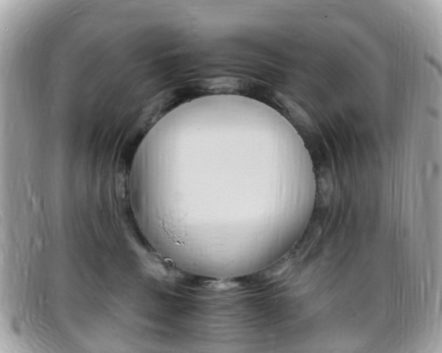 X0000095910379200801110833