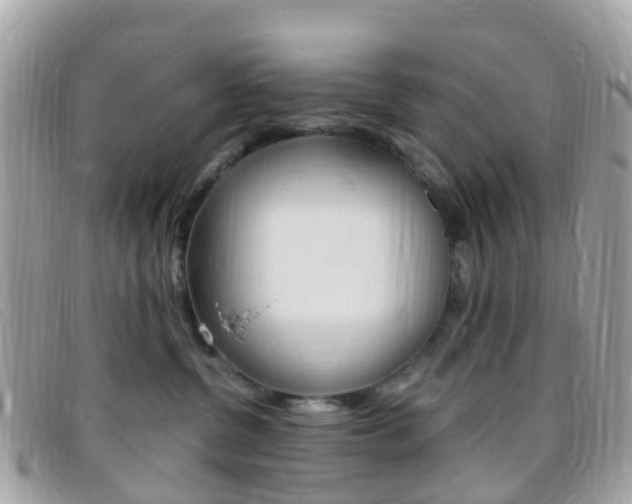 X0000095910380200801110833