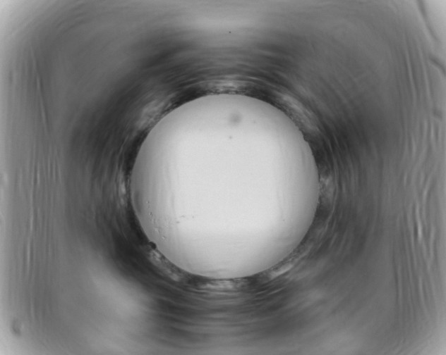 X0000095910381200801110833