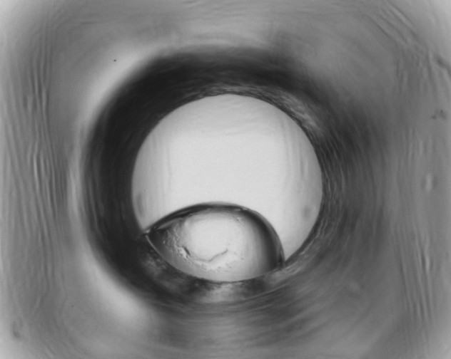 X0000095910382200801110833