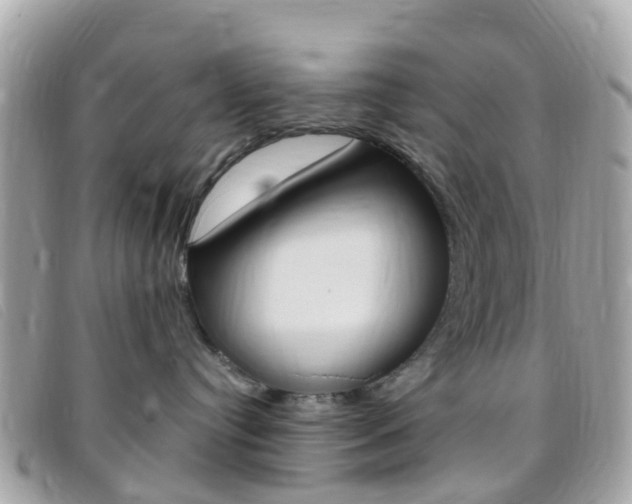 X0000095910384200801110833