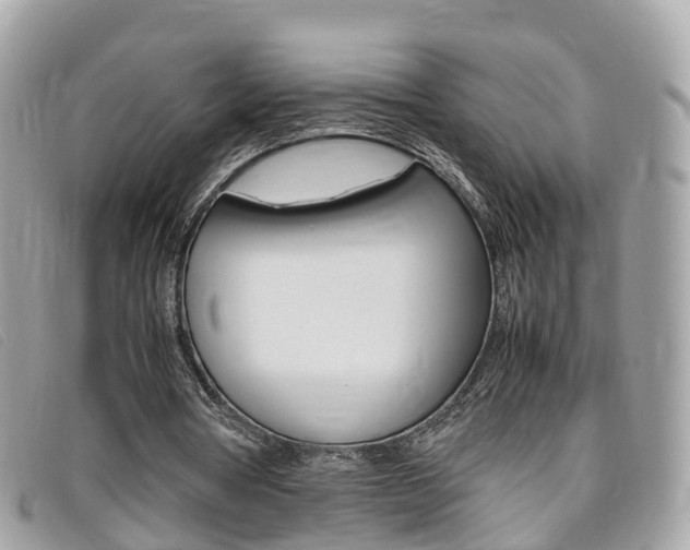 X0000095910386200801110832