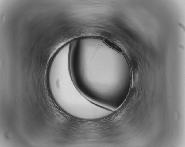 X0000095910387200801110832