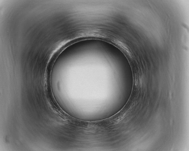 X0000095910388200801110832