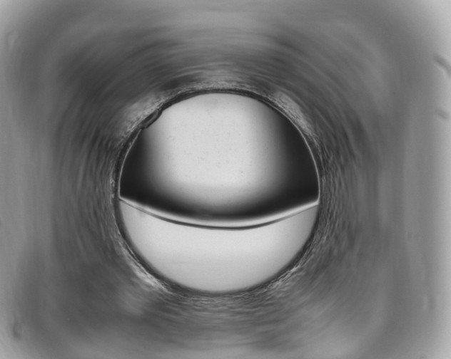 X0000095910389200801110832