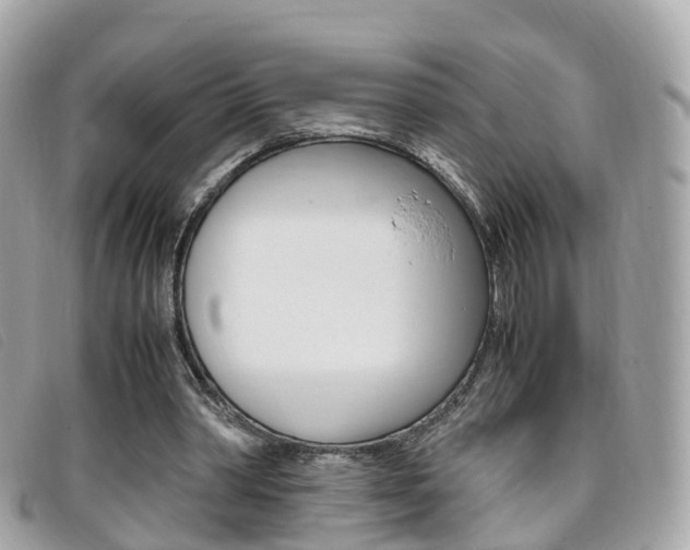 X0000095910390200801110832
