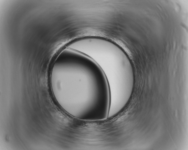 X0000095910391200801110832