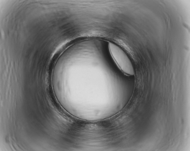 X0000095910392200801110832