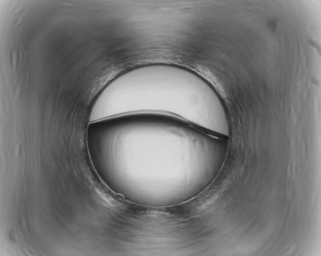 X0000095910393200801110832