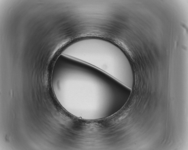 X0000095910396200801110832