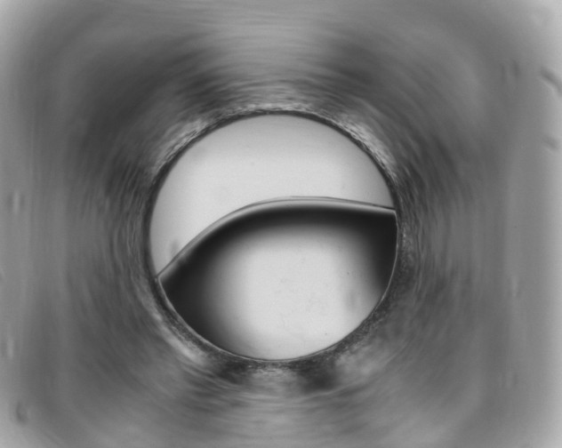 X0000095910397200801110832