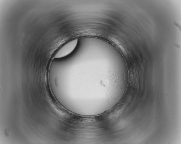 X0000095910398200801110832