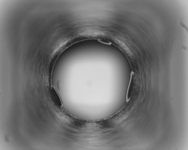 X0000095910399200801110832