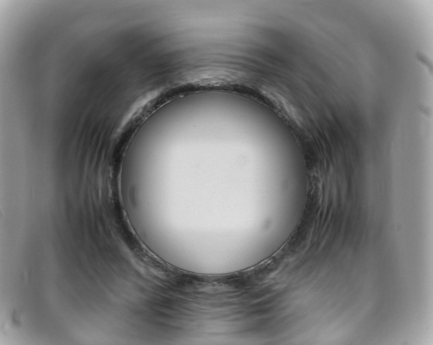 X0000095910400200801110832