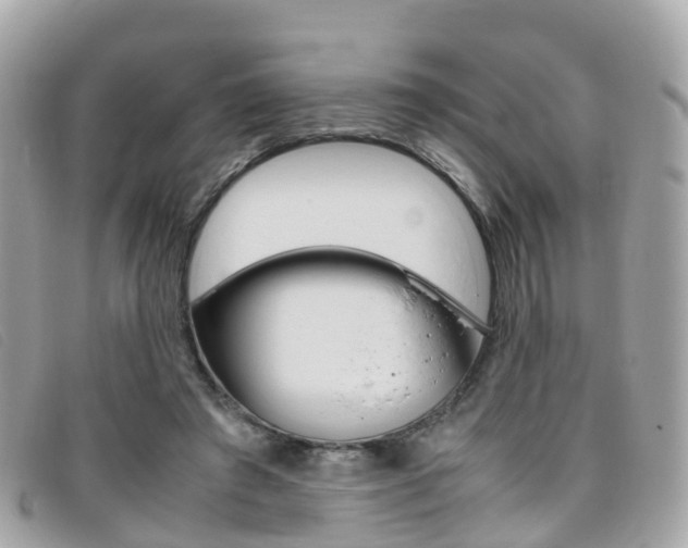 X0000095910401200801110832