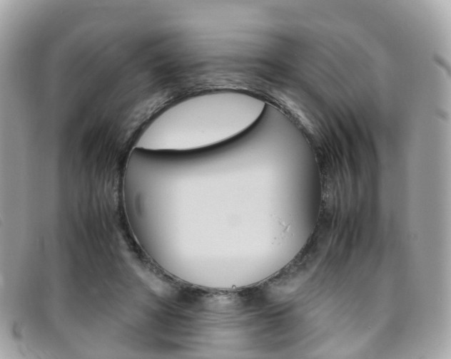X0000095910402200801110832
