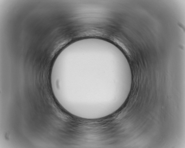 X0000095910403200801110832