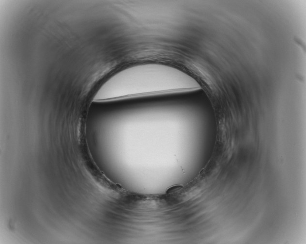 X0000095910404200801110832