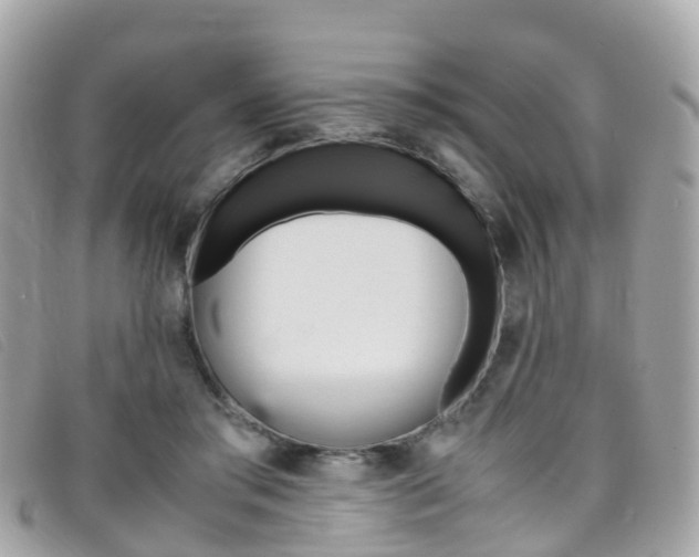 X0000095910405200801110832