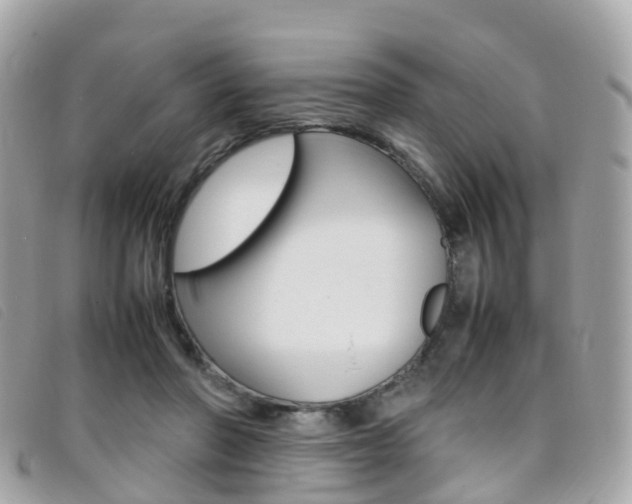 X0000095910406200801110832