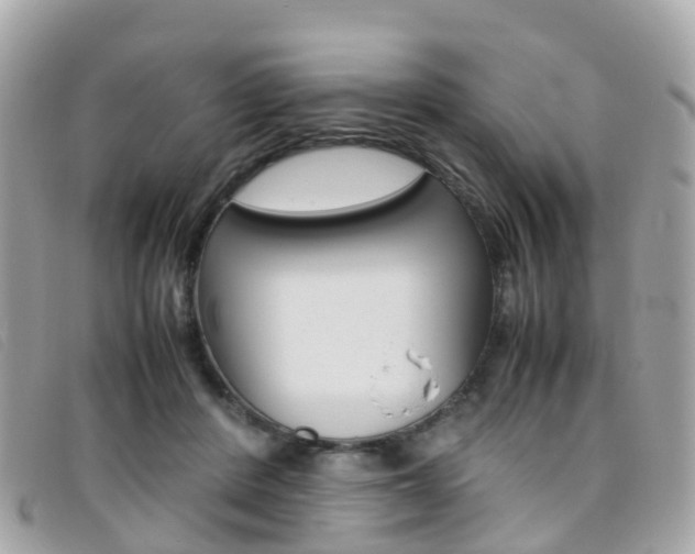 X0000095910408200801110832