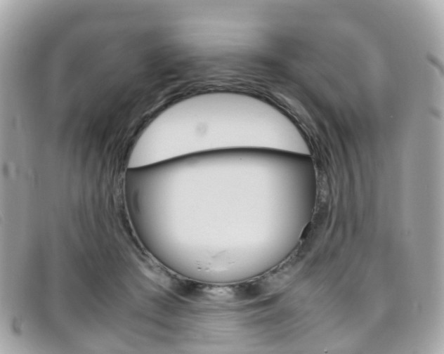 X0000095910409200801110832