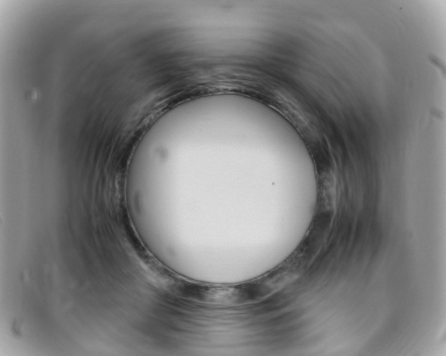 X0000095910410200801110832