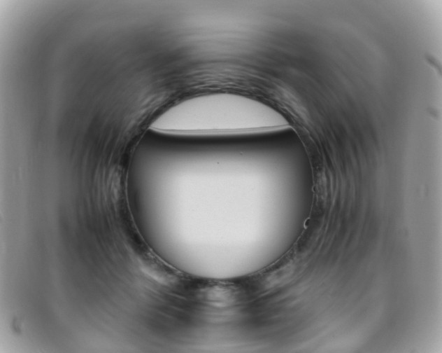 X0000095910412200801110832