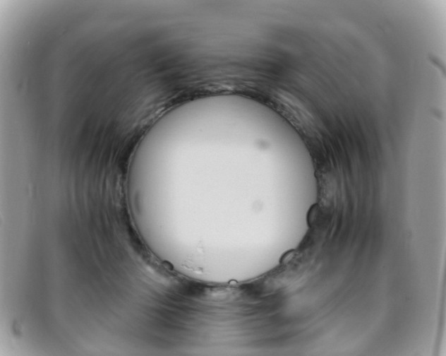 X0000095910414200801110832