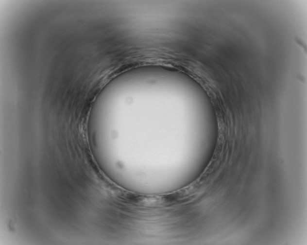 X0000095910415200801110832