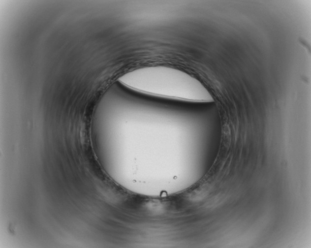 X0000095910416200801110832