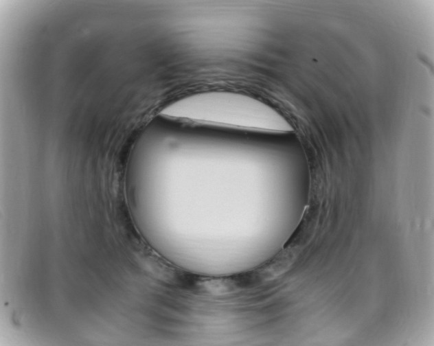 X0000095910417200801110832