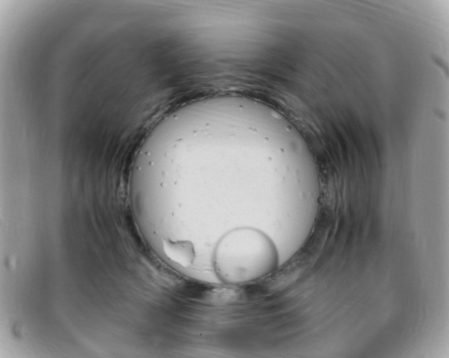 X0000095910418200801110832