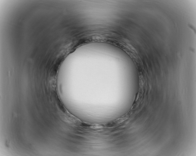 X0000095910419200801110832
