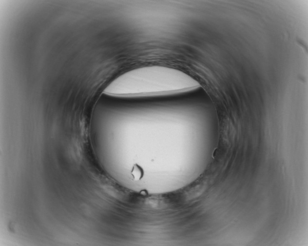 X0000095910420200801110832