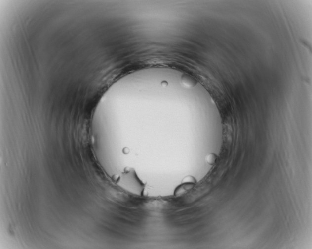X0000095910422200801110832