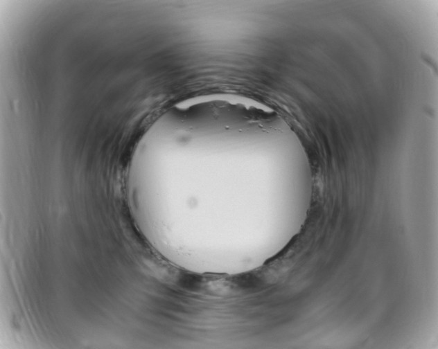 X0000095910423200801110832
