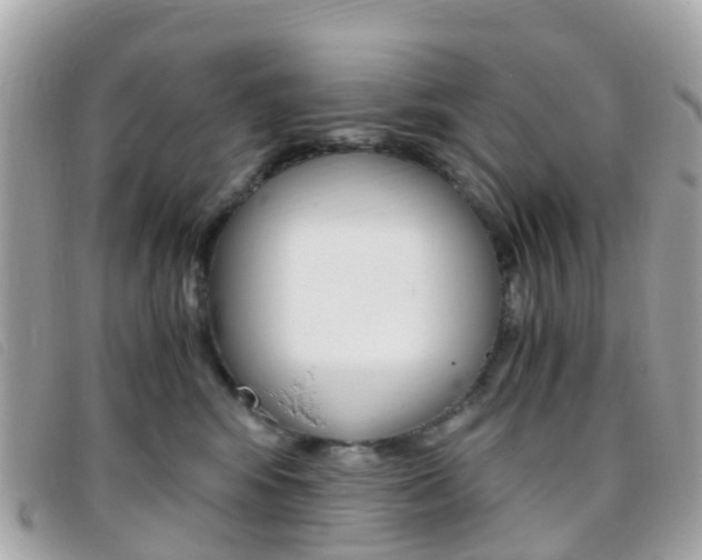 X0000095910424200801110832