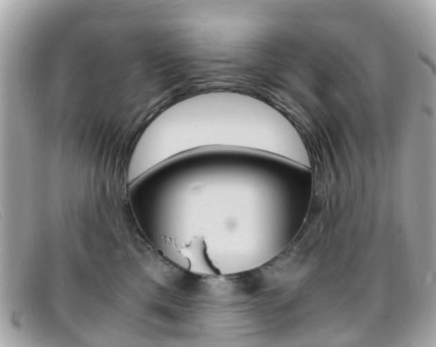 X0000095910425200801110832