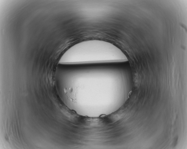 X0000095910428200801110832
