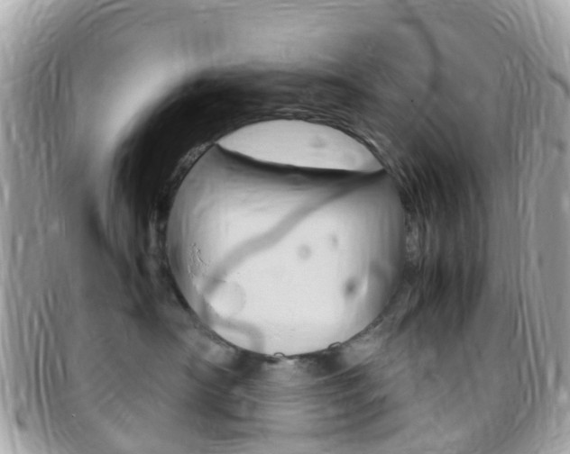 X0000095910430200801110832