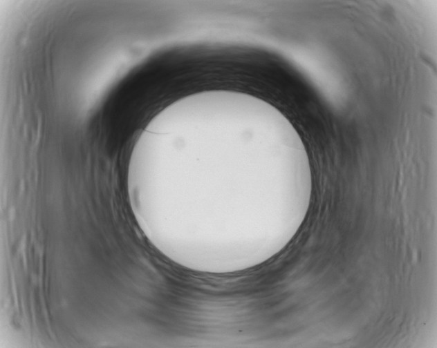 X0000095910431200801110832