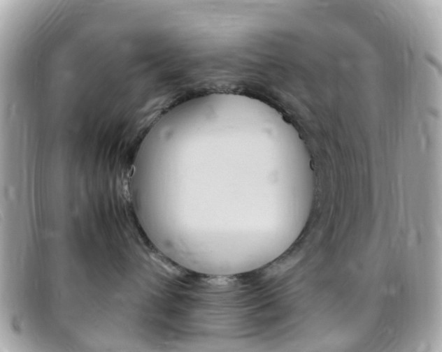 X0000095910432200801110832